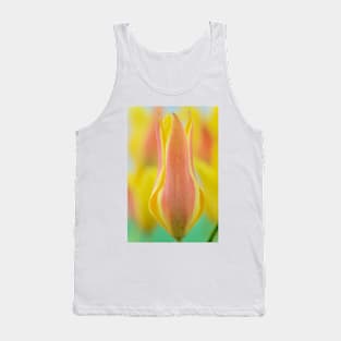 Tulipa kolpakowskiana  AGM  Kolpakowsky&#39;s tulip  Miscellaneous tulip Tank Top